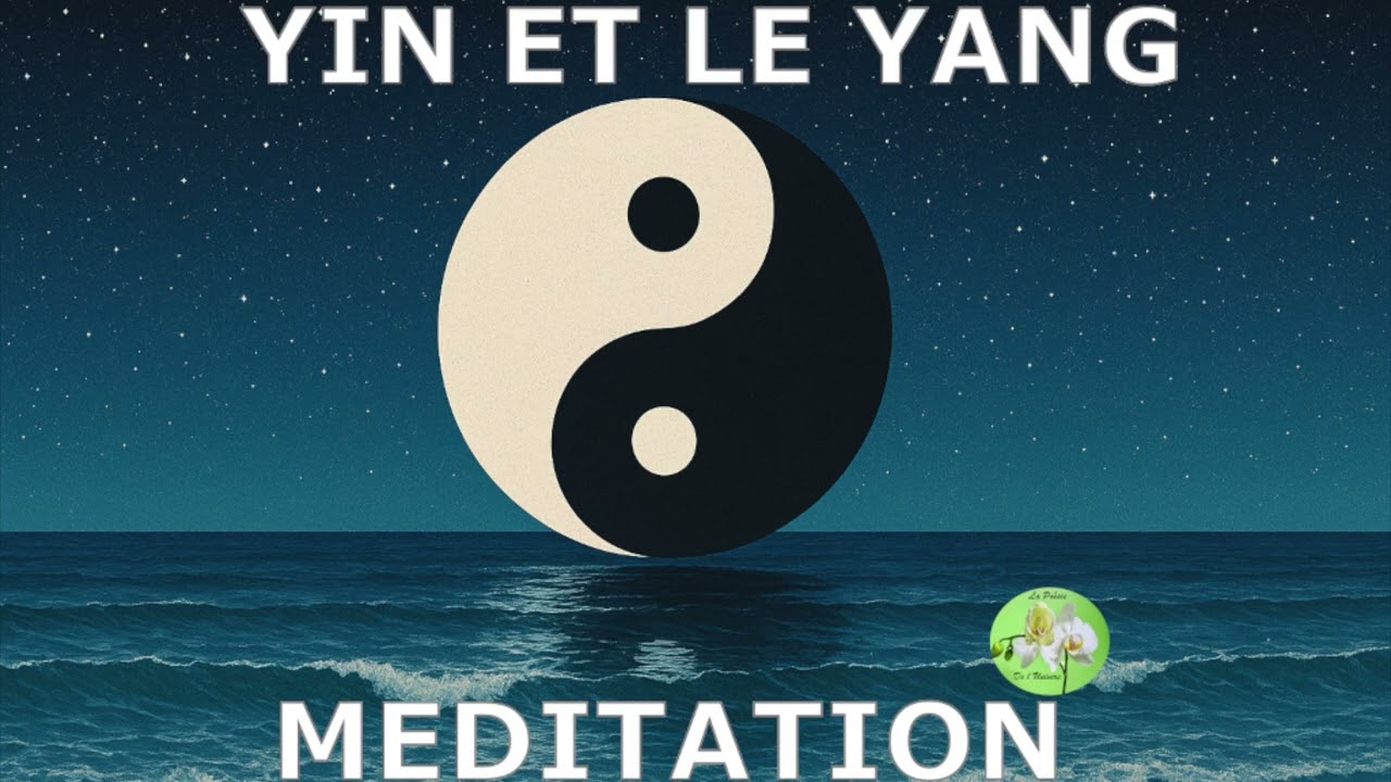 LE YIN ET LE YANG. RESTAURE TES DEUX FORCES