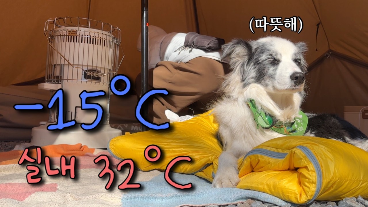 캠핑 vlog /매서운 강원도 날씨 영하 15도,  텐트 안은 너무더워 🌡️  / 영월 / 동계캠핑 / 극한캠핑 / 파세코 / 굴찜 / 편육 / 유린기 / 강아지 / 트래킹