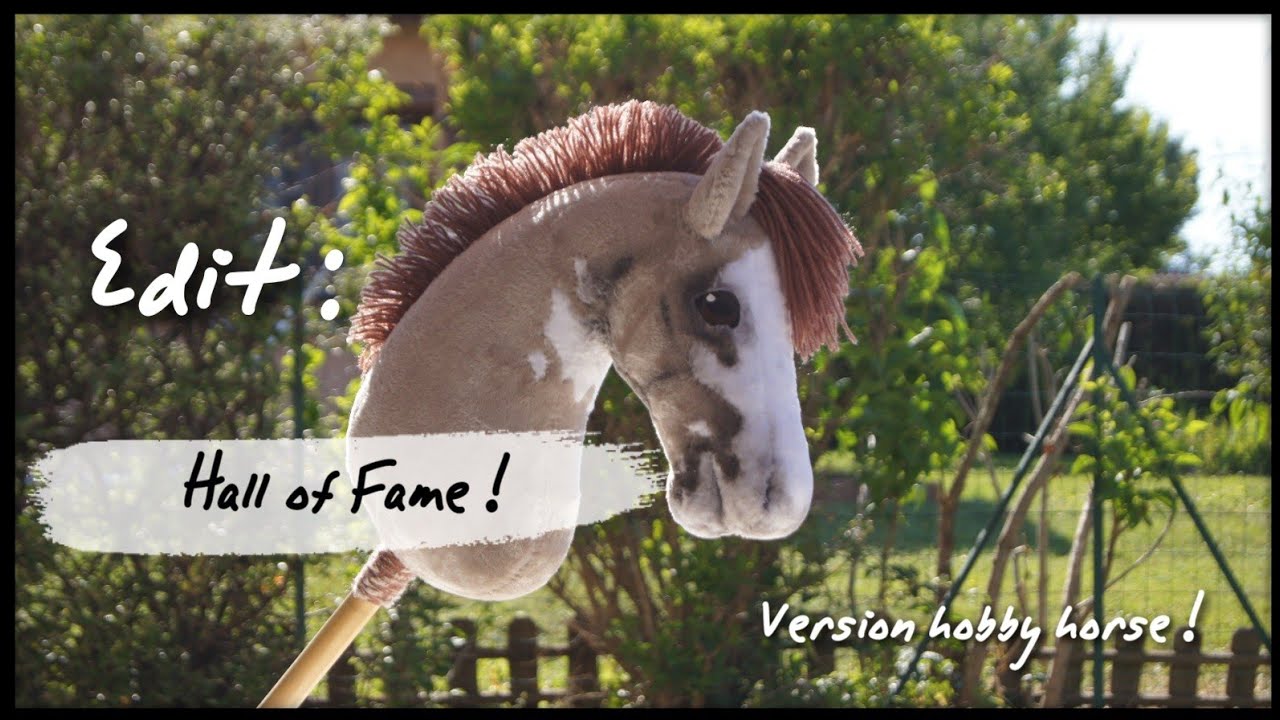 Edit : Hall of Fame /version hobby horse !
