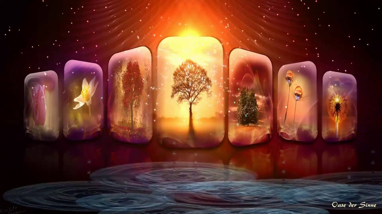 ☼ Light Of Love ☼