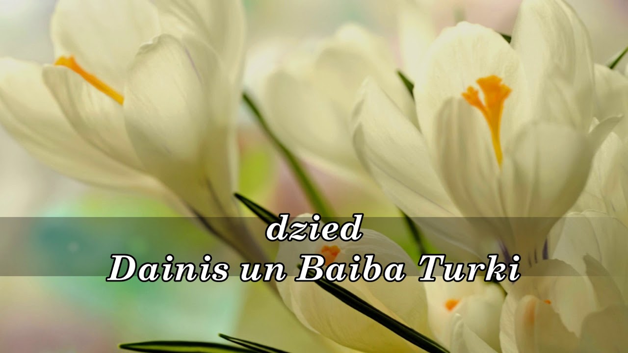 Pāri...I.Aizupe/DIVAS BALSIS
