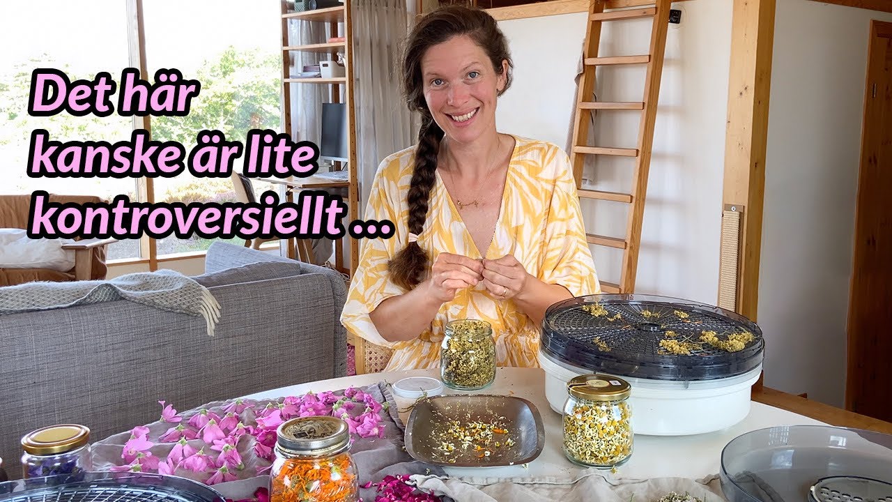 Declutter, örtmedicin och tips för att lämna ekorrhjulet