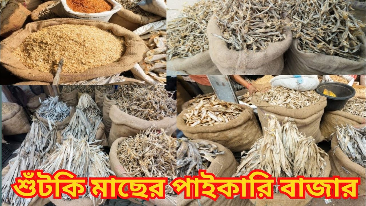 কলকাতায় শুঁটকি মাছের বিশাল পাইকারি বাজার | Dry Fish Market Kolkata l Sutki Macher Bazar Kolkata