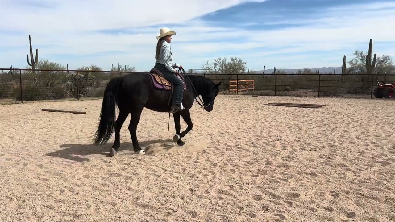 Class #121 March Ranch Trail- RCR Harley/Nicole Olmedo