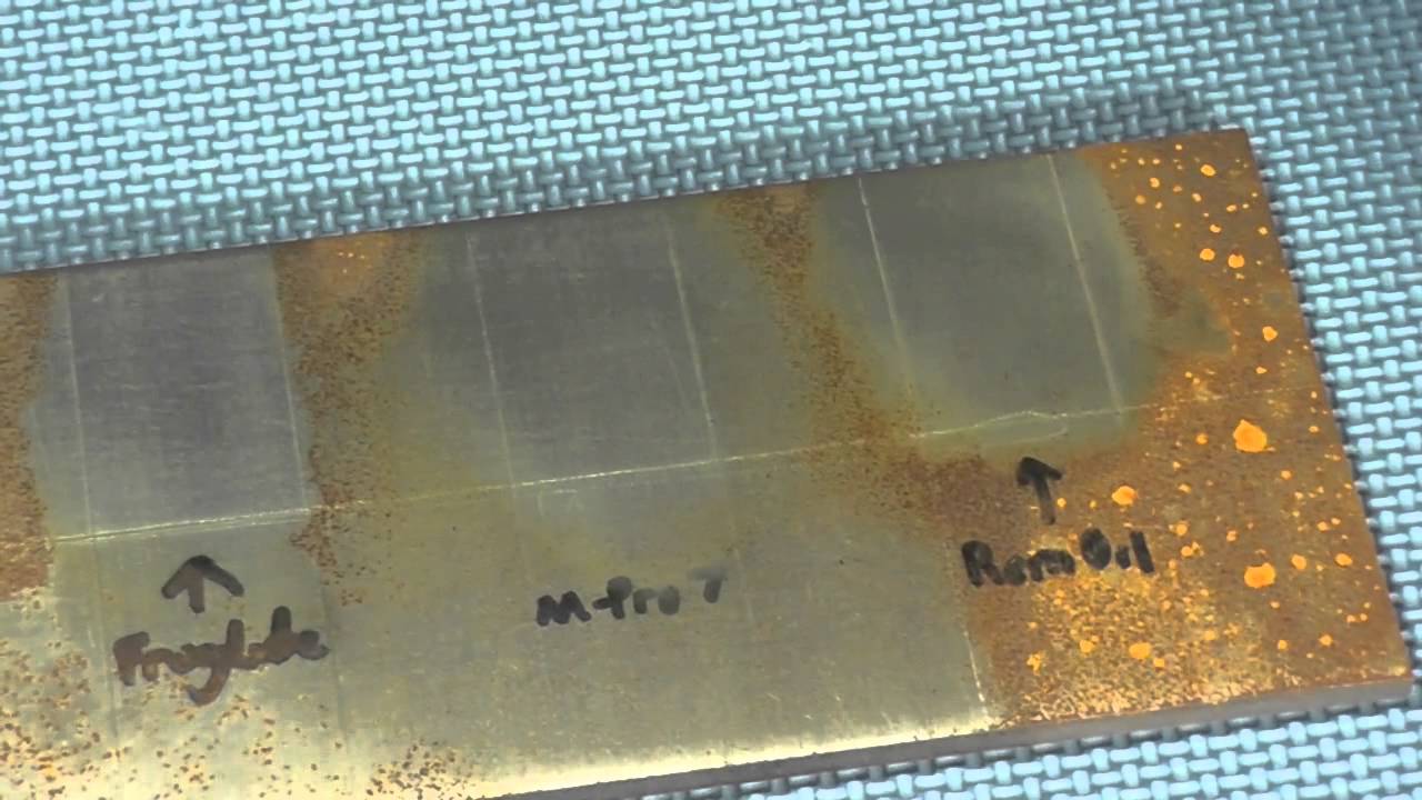 Plate of Truth - 2 Month Results