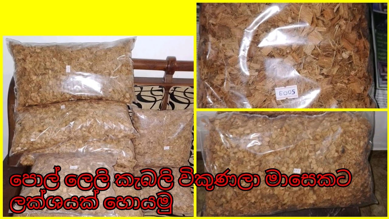 පොල් ලෙලි කැබලි බිස්නස් කරලා මාසෙකට ලක්ශයක් හොයමු - Pol leli business karala lakshayak hoyamu