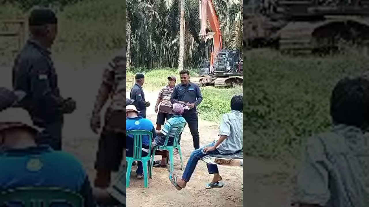 chanel sawit sedang live sekarang! rapat bahas reflanting