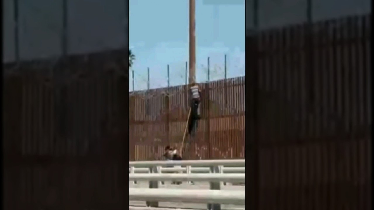 Usa Donkey 🇺🇲 | Donkey America | Mexico Border Crossing To Usa #shorts