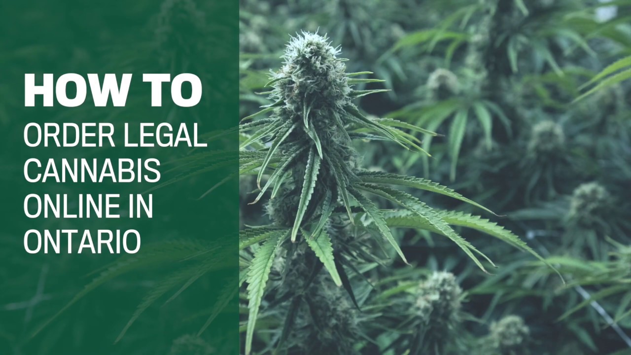 How to buy legal Ontario weed online in 7 steps