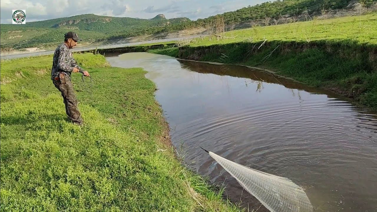 Carpa monstruo de casi 10 kilos seguimos este riachuelo y la encontramos y muchas tilapias