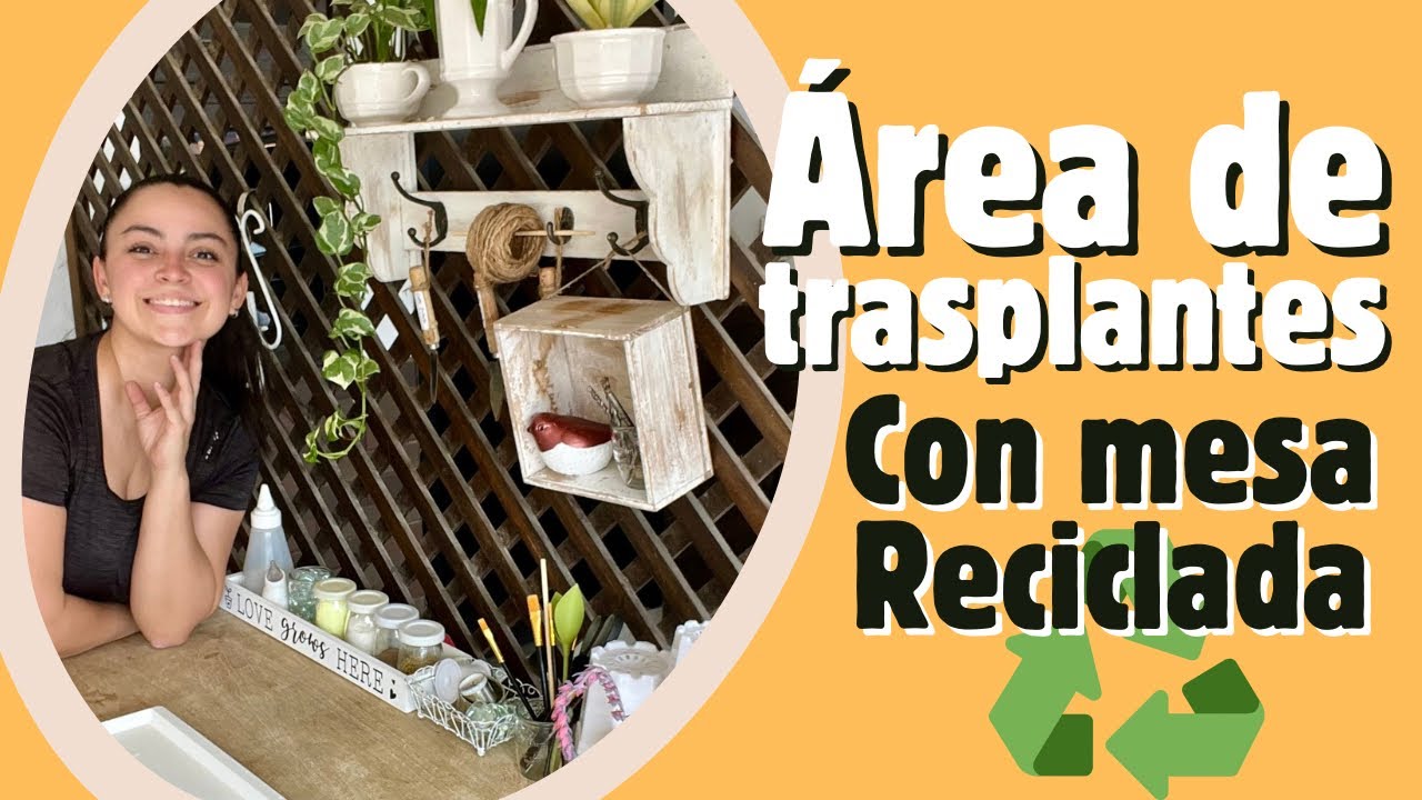 🪴IDEAS para ORGANIZAR un área para trasplantes 👩🏻‍🌾 estrenando mesa reciclada ♻️🤩