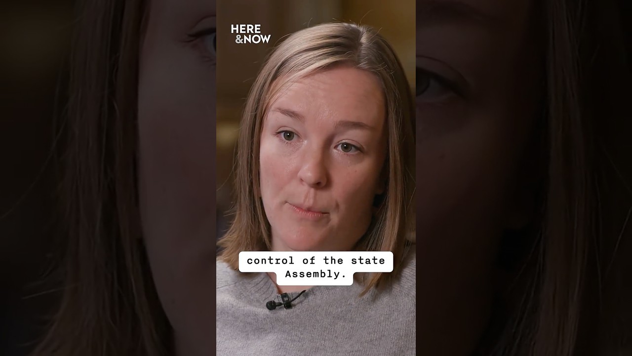 Wisconsin Democrats going into the 2026 elections | Here & Now