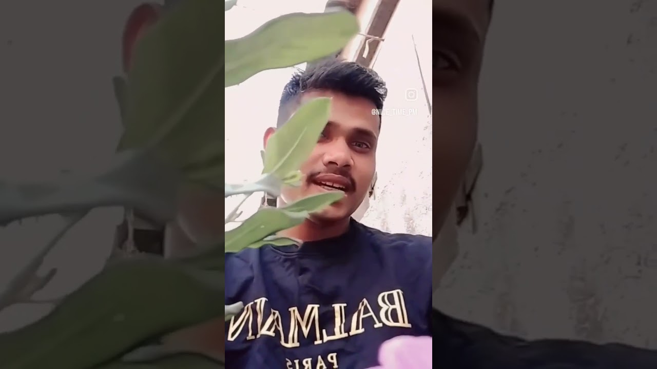 bolo ki kore tomake ami tomake bhalo bashi status 🌹 YouTube channel reels status 💕