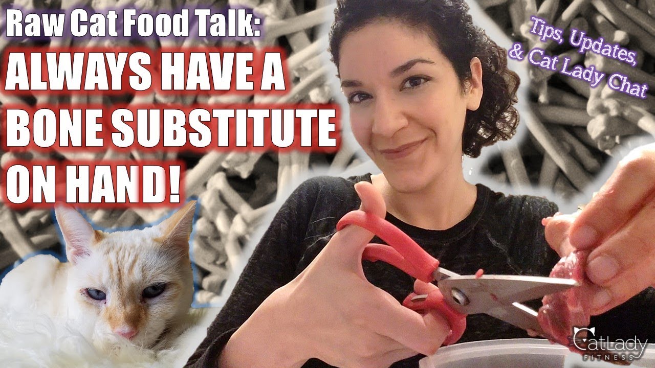 Raw Cat Food Chat: Why you should ALWAYS have a Bone Substitution on hand (plus tips & updates!)