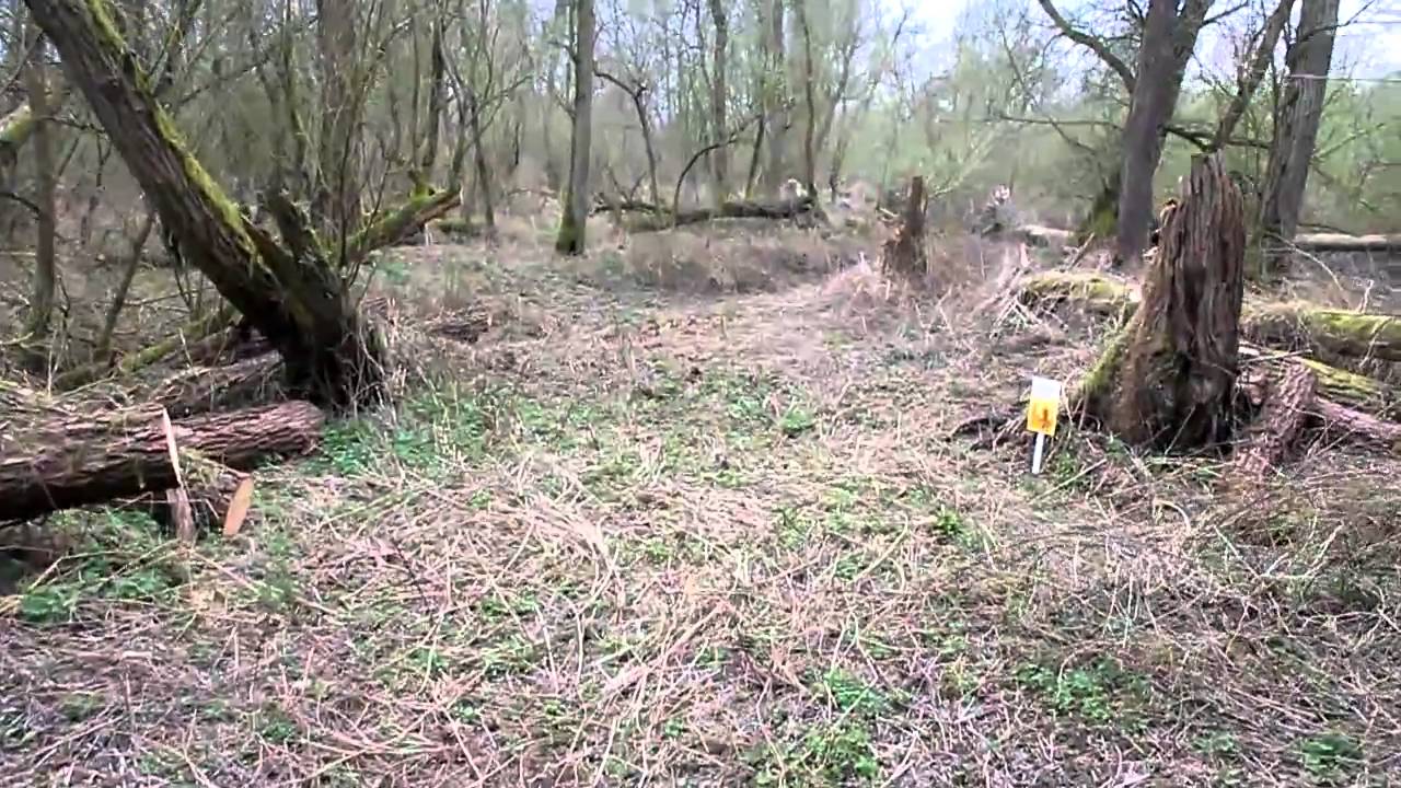 Nieuwe locatie voor Beverpad - Biesbosch Schoolboot Staatsbosbeheer