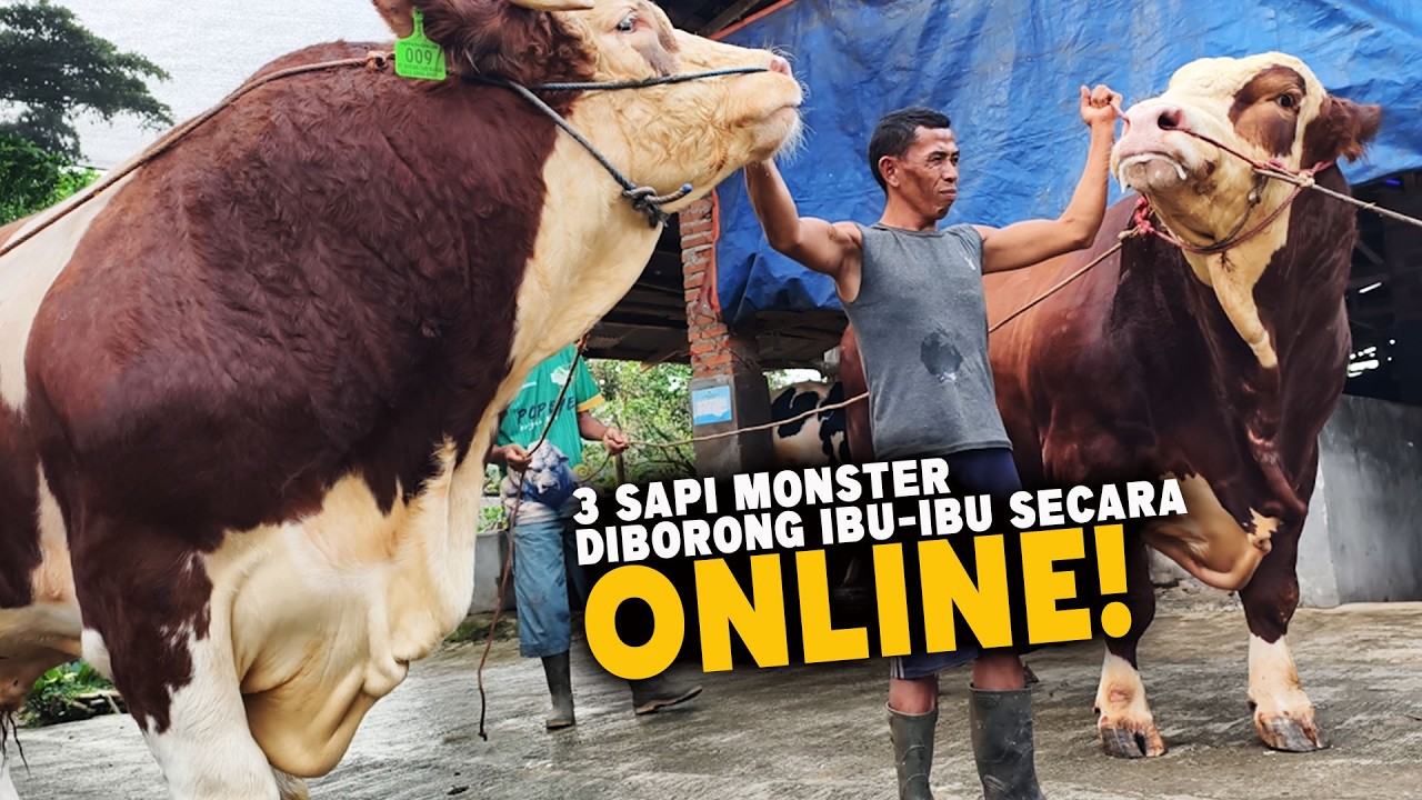 Masya Allah 🔥 Baru Tayang Langsung Laku Online, Bintang tani Luar Biasa