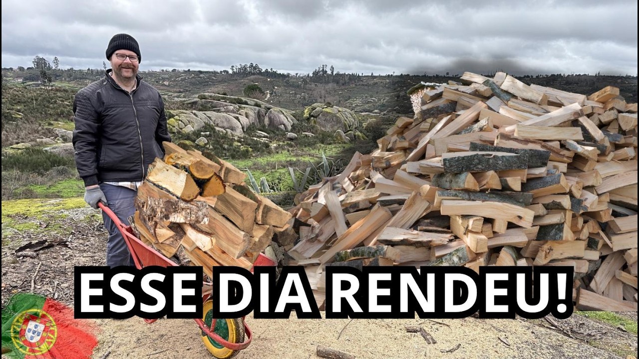 A CHUVA DEU TRÉGUA E FUI DIRETO CORTAR LENHA