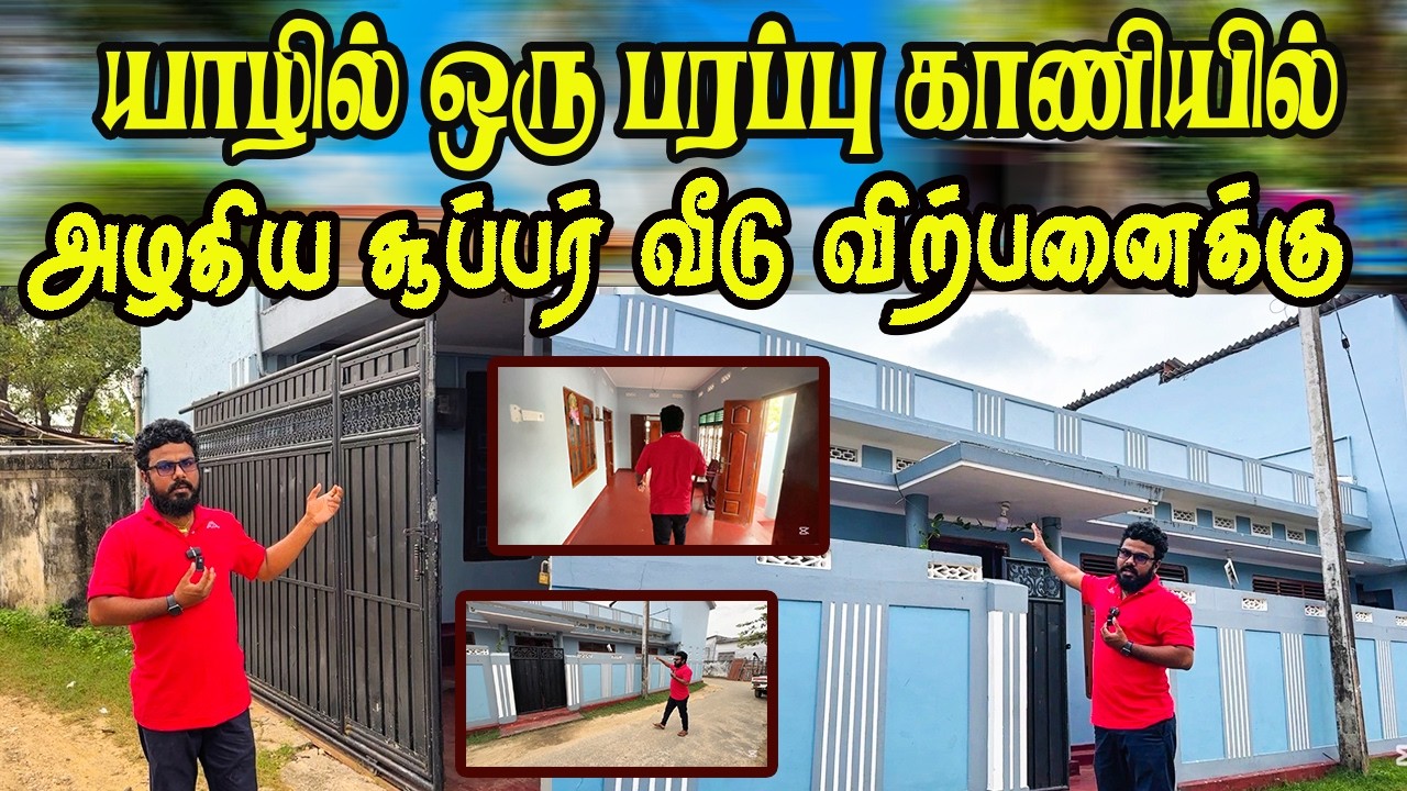 யாழில் ஒரு பரப்பு காணியில் அழகான அளவான வீடு விற்பனைக்கு #homesale #landsale #realestate #vanninanban