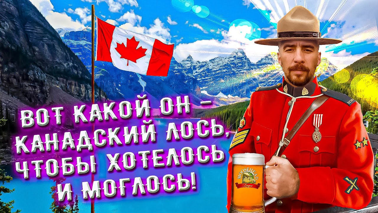 С миру по пиву #32 - Канада, Moosehead - Oatmeal Brown Ale