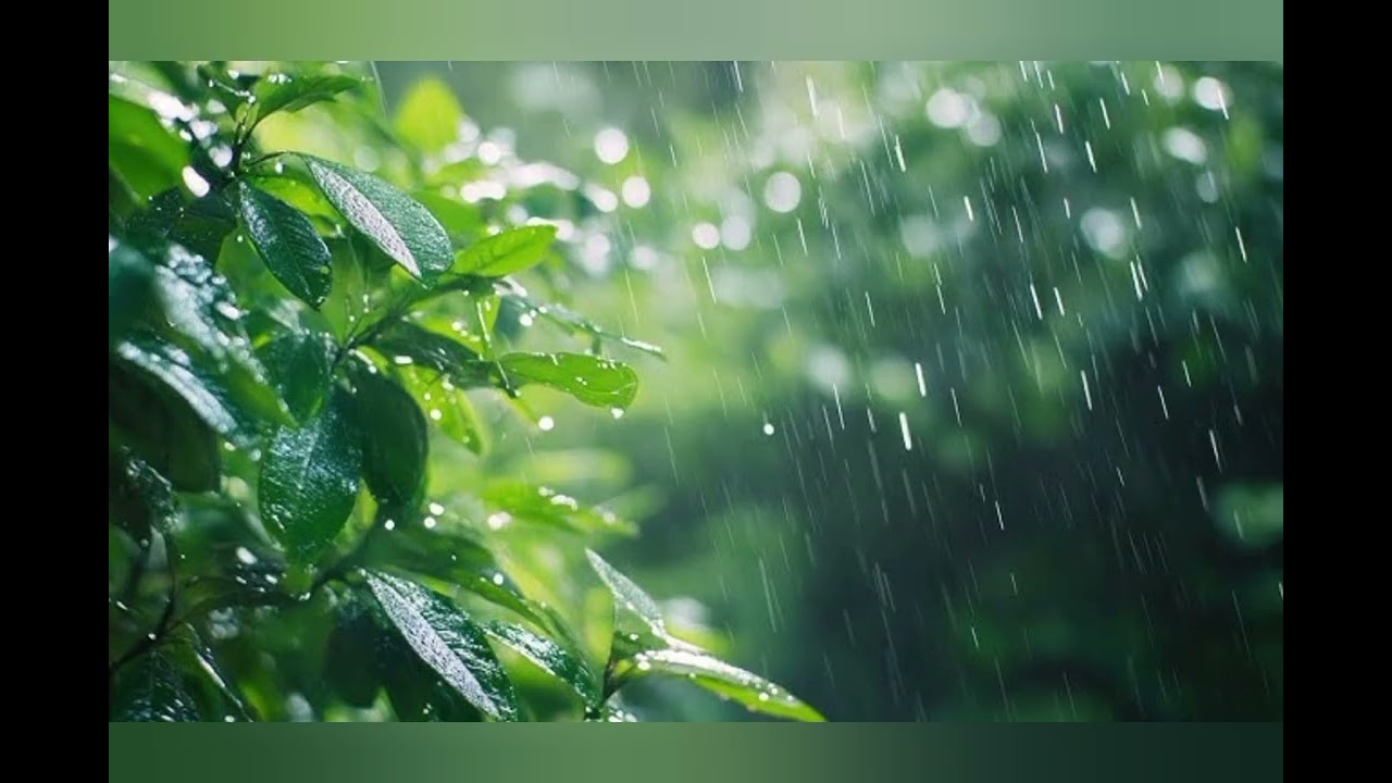 Hello friends உங்களுக்கு   பிடித்த பாடல் 