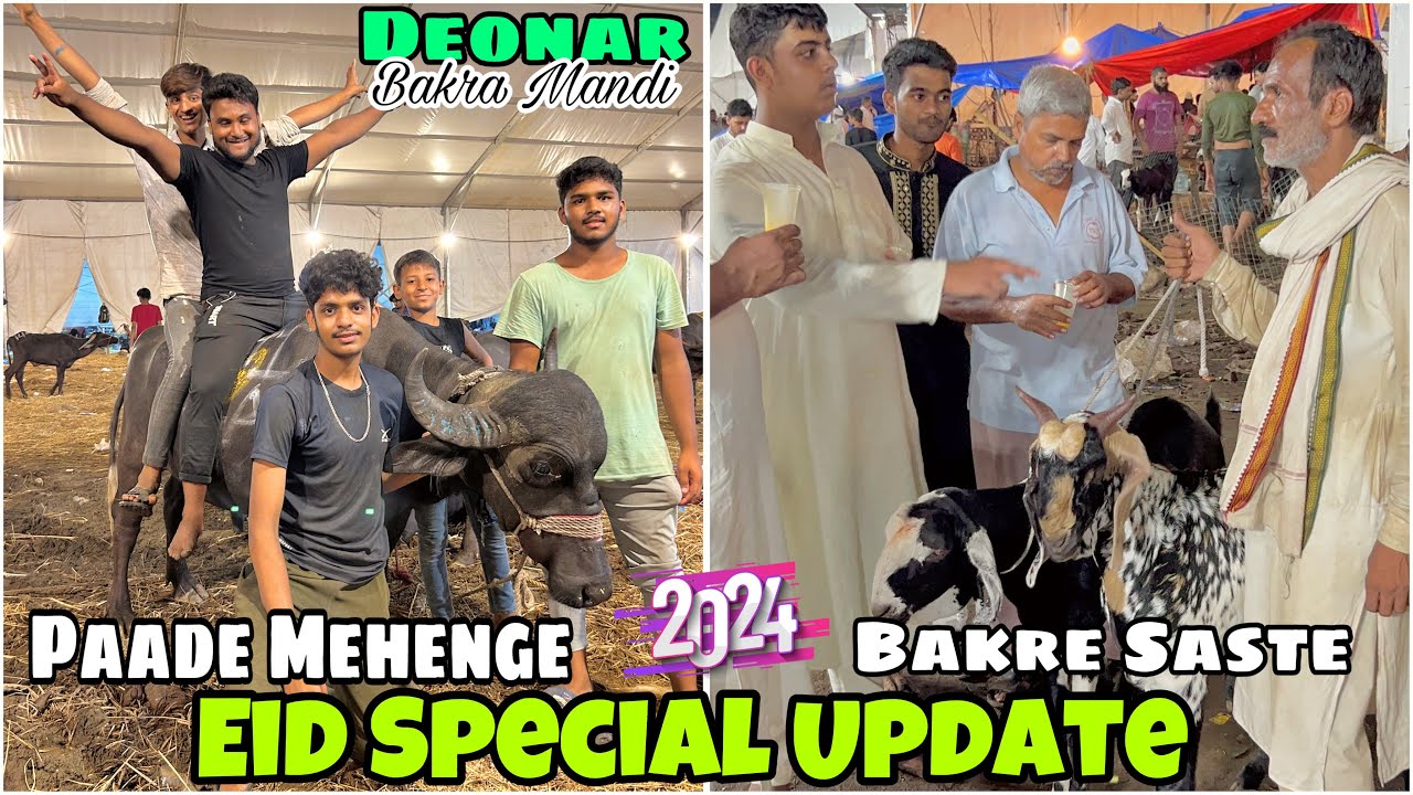 Deonar bakra mandi EID SPECIAL UPDATE 2024 qurbani ke saste khassi bakre