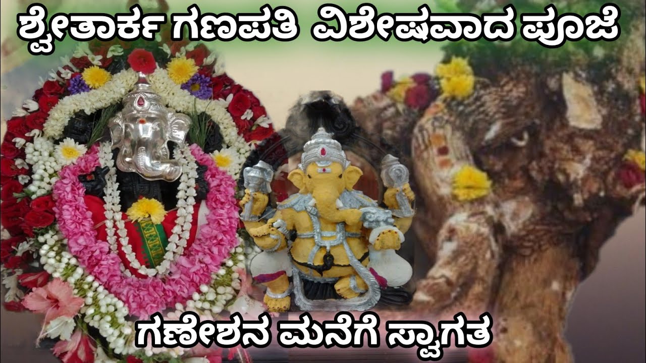 ಶ್ವೇತಾರ್ಕ ಗಣಪತಿ  ವಿಶೇಷವಾದ ಪೂಜೆ ಗಣೇಶನ ಮನೆಗೆ ಸ್ವಾಗತ// Ganesha  Pooja Mysore 