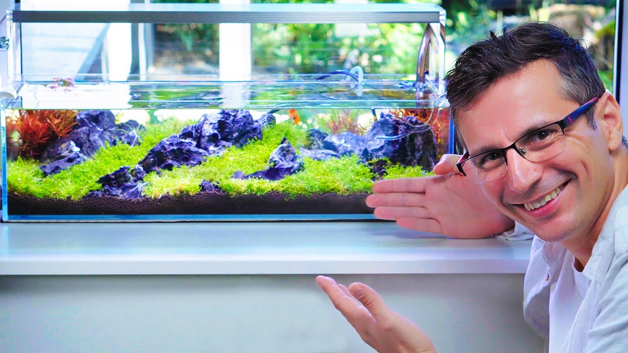 SIZE MATTERS! SHALLOW TANK - A HIGH TECH NANO AQUASCAPE