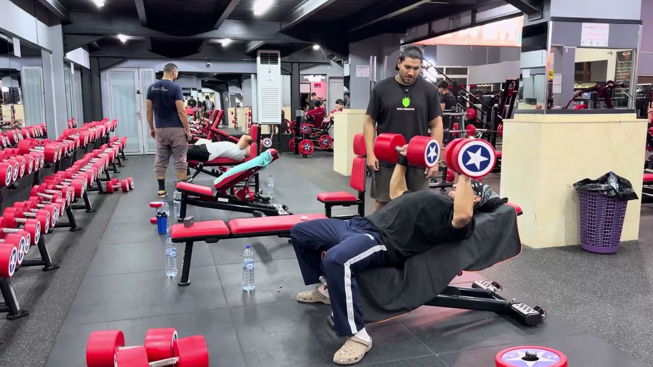 push / biceps 