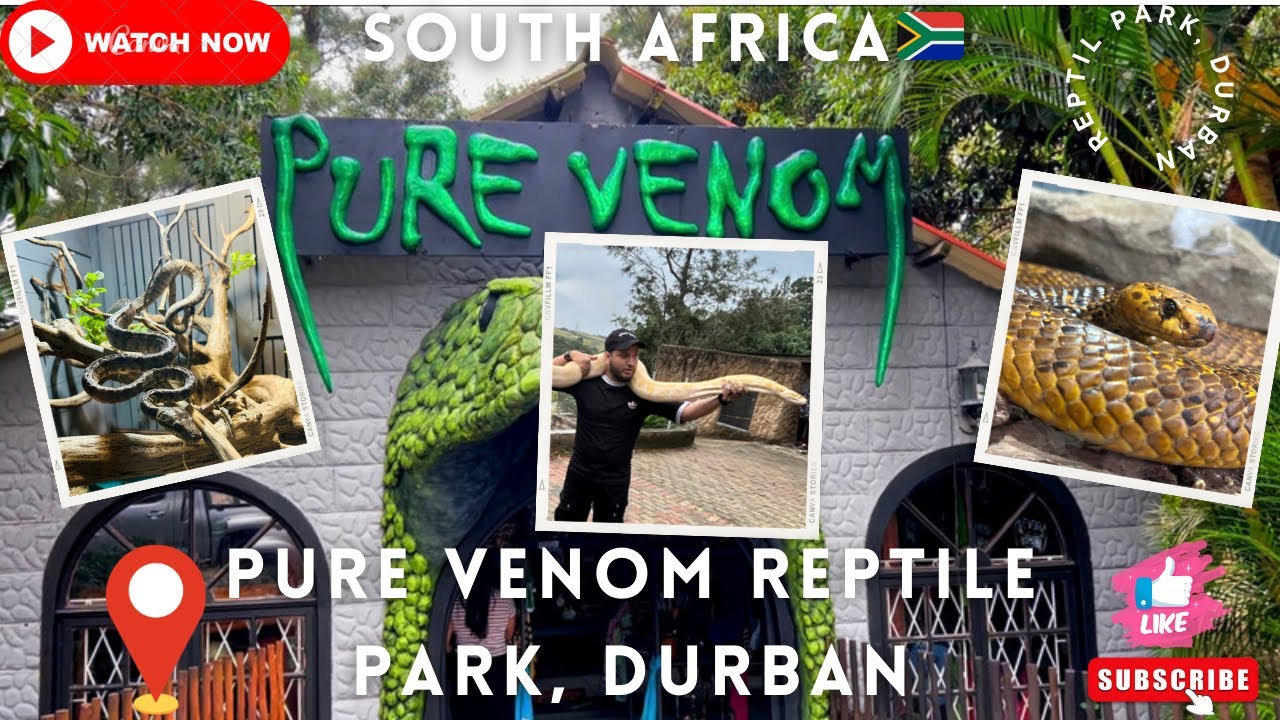 Pure Venom Reptile Park 🐍 🐊🐢, Durban| Best Place to visit in South Africa | EP-9 | KZN
