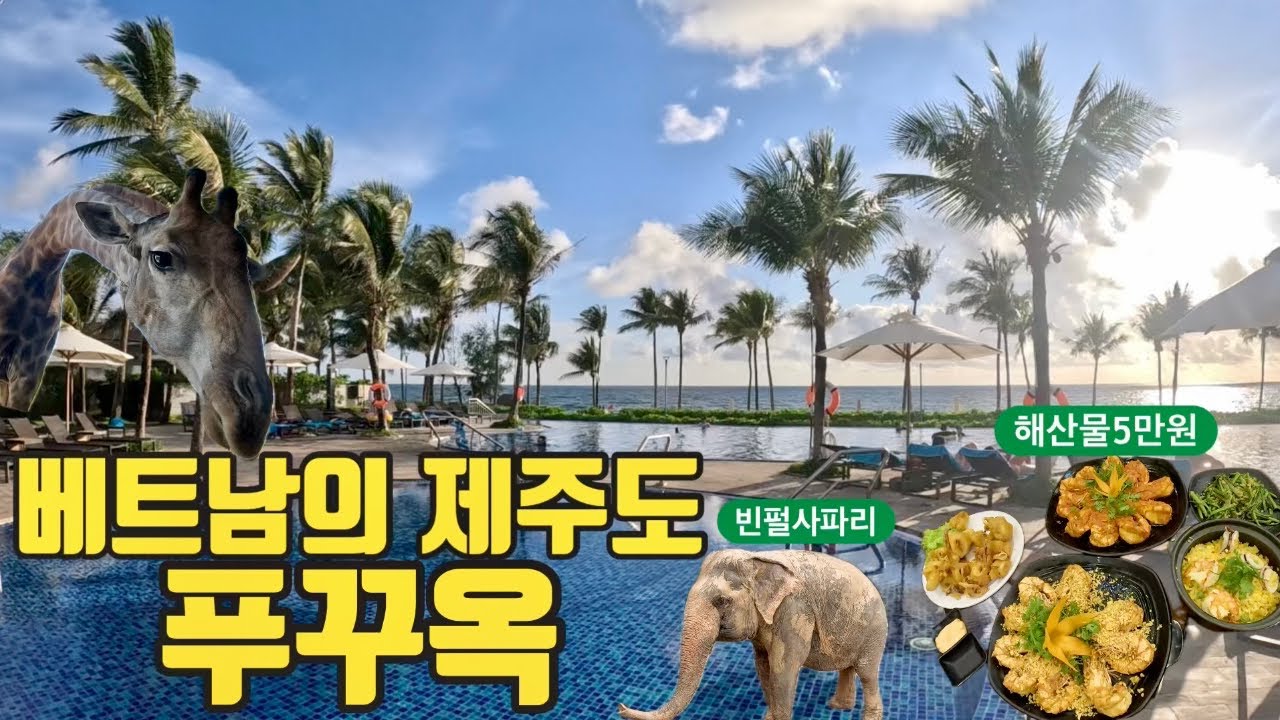 베트남 다낭말고 나트랑말고 푸꾸옥이 최고 | 베트남의 제주도 가족여행 추천지 | 빈펄사파리 | 푸꾸옥노보텔 | 푸꾸옥킹콩마트 | 소나시야시장 39k해산물