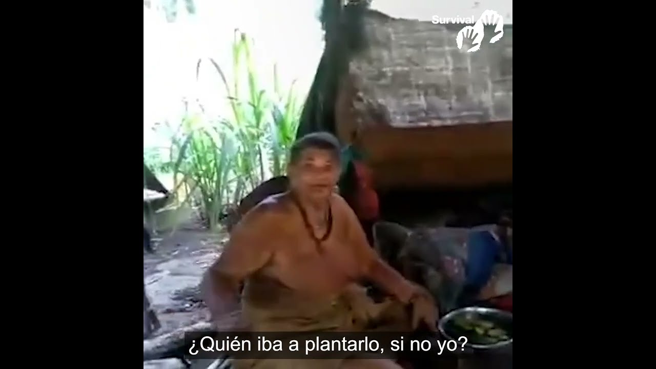 “Id y decidles que no queremos darles nuestra selva.”