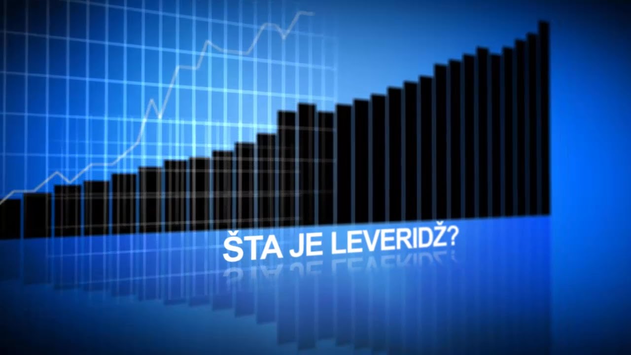 Šta je leveridž?