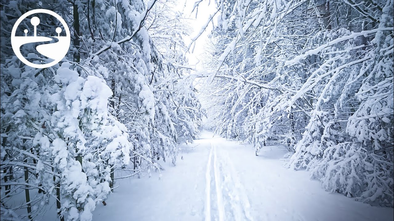 AMAZING Snowfall Winter Forest Walk for Relaxing & Stress Relief - ASMR Binaural Snow Sounds
