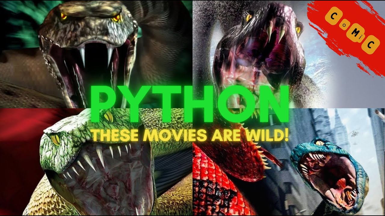 The Python Movies are Wild! (Review Compilation)