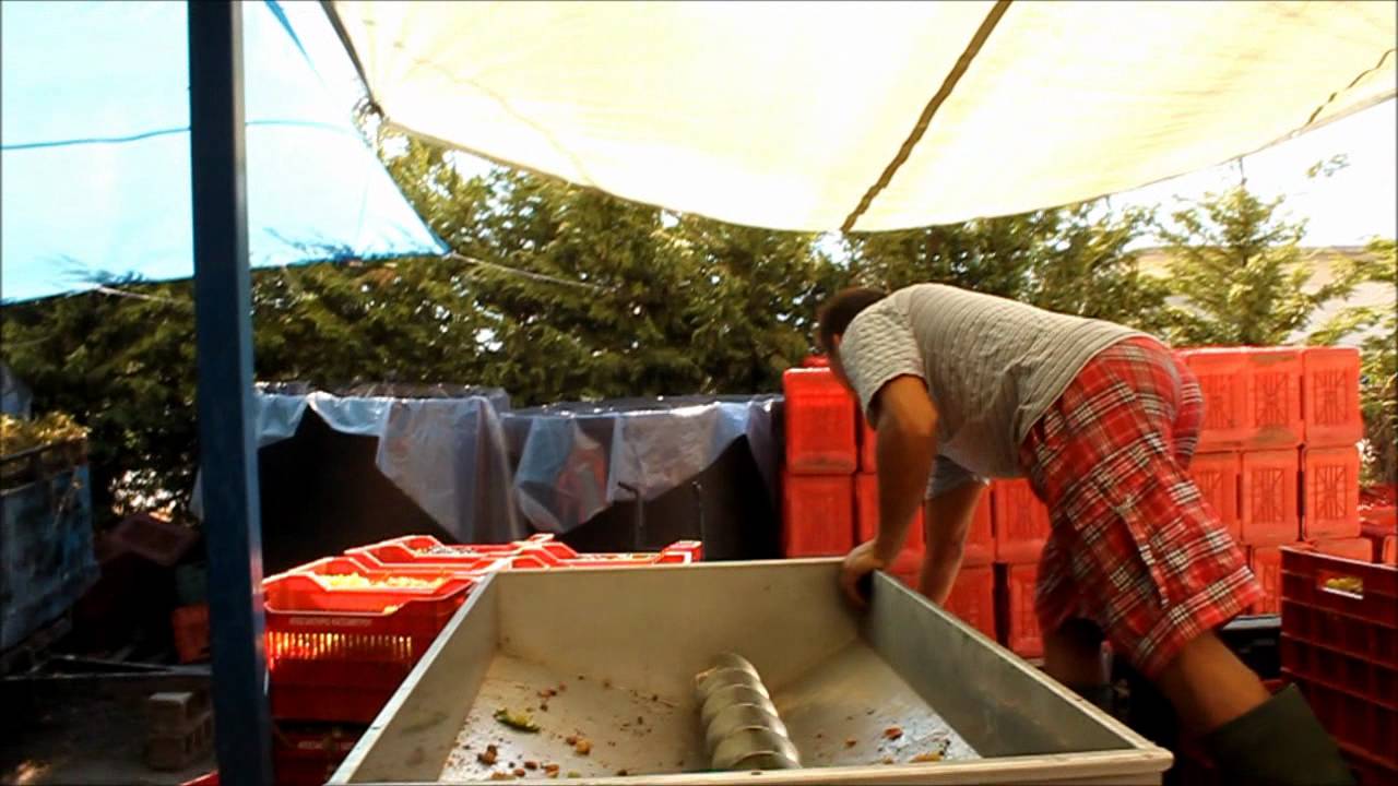 Πως γίνεται ο μούστος (χωρίς ξυπόλητους)