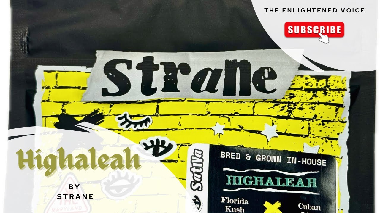 Highaleah Strain Review: Strane&rsquo;s Premium In-House Bred Cannabis Unveiled