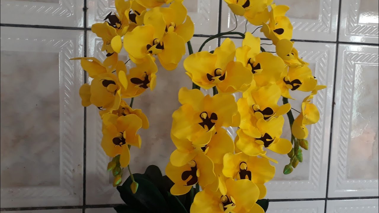 Linda orquidea amarela sem frisadores!!