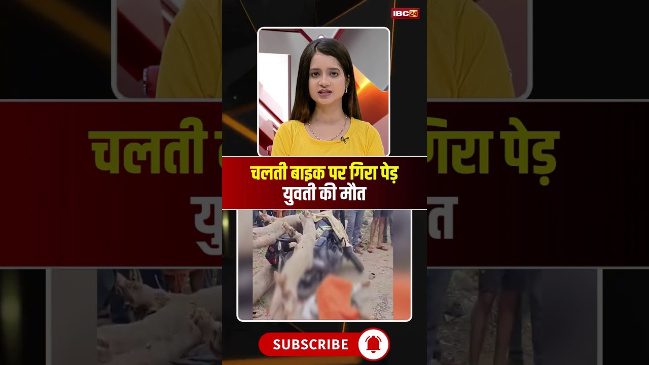 चलती बाइक पर गिरा पेड़..युवती की मौत। #mpnews #maihar #viralnews #viralshorts