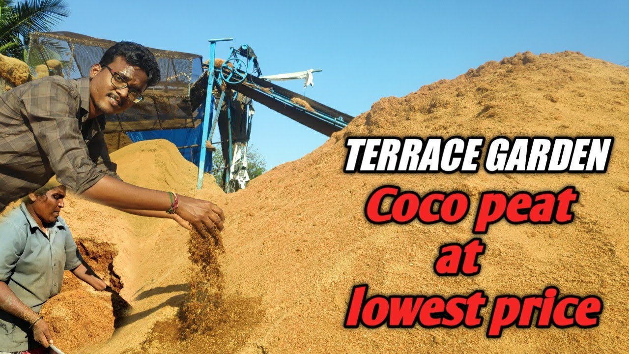 Coco Peat For மாடி தோட்டம் | Best Price | கோகோ பீட் Manufacturing process | Mani Garden | VinoVlogs