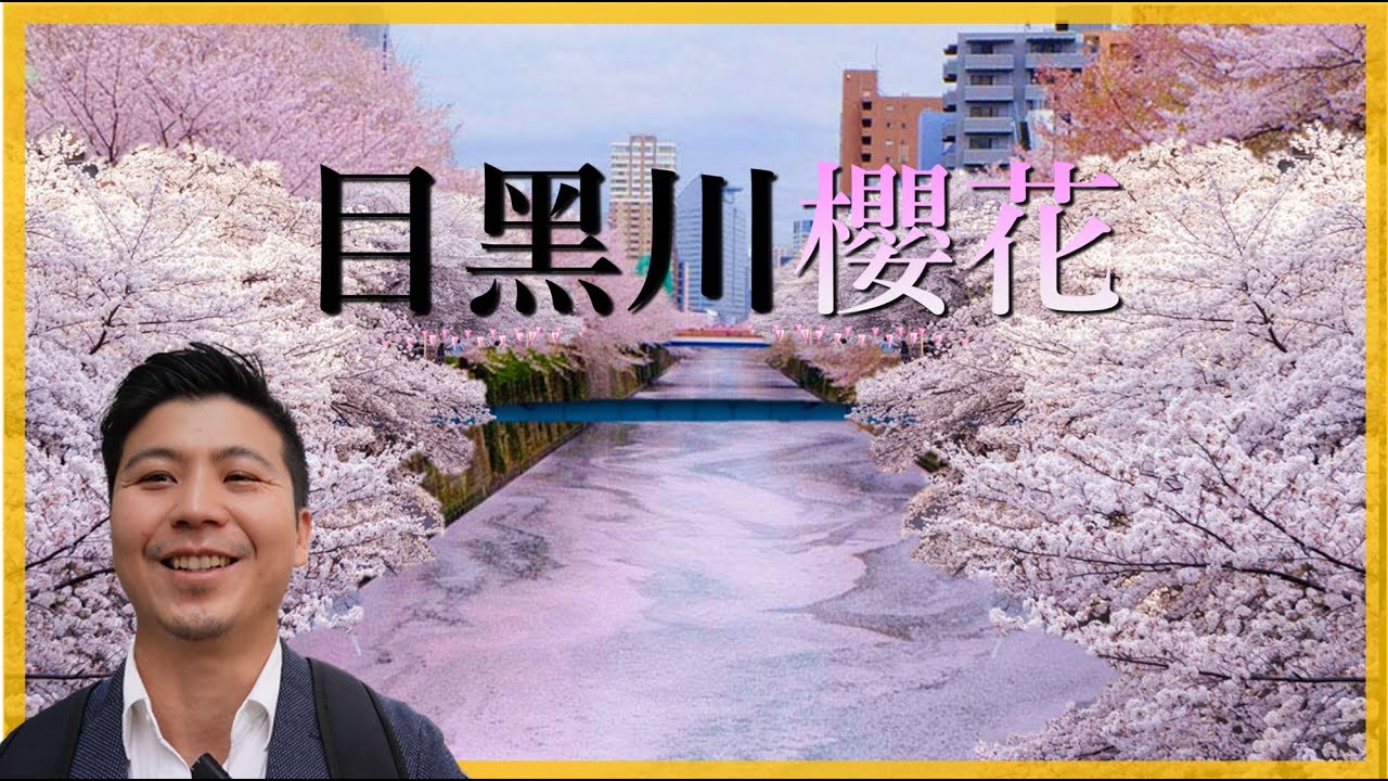 【日本系列14】目黑川櫻花，東京都內三大賞櫻名所之一。全長8公里800棵的染井吉野櫻，走到腿好痠。＃伊恩愛種花