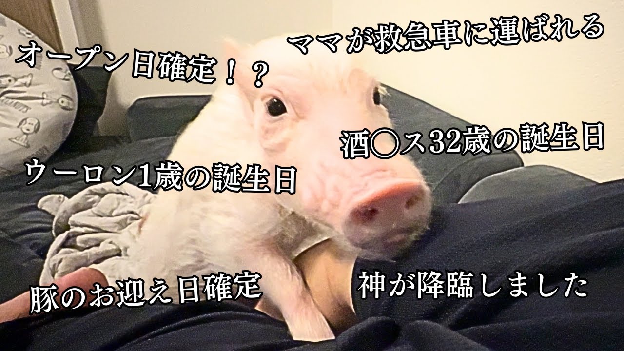 最近色々ありまして…