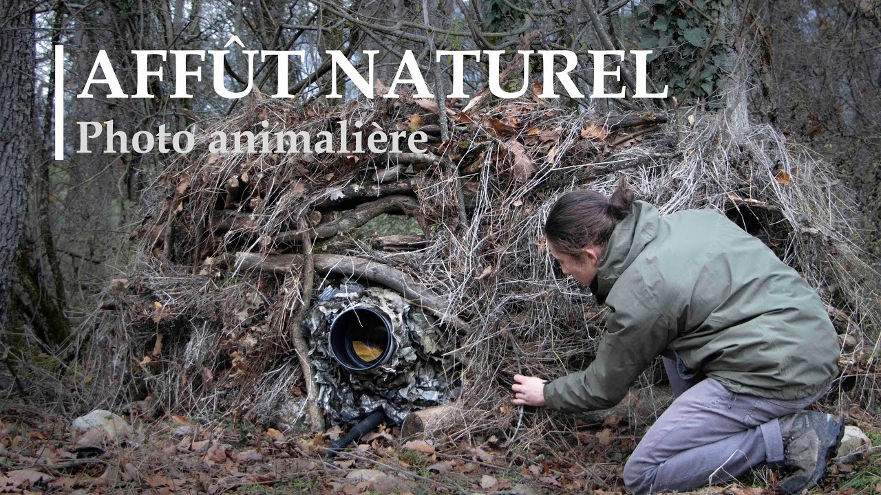 Construire un AFFÛT NATUREL | Photo animalière