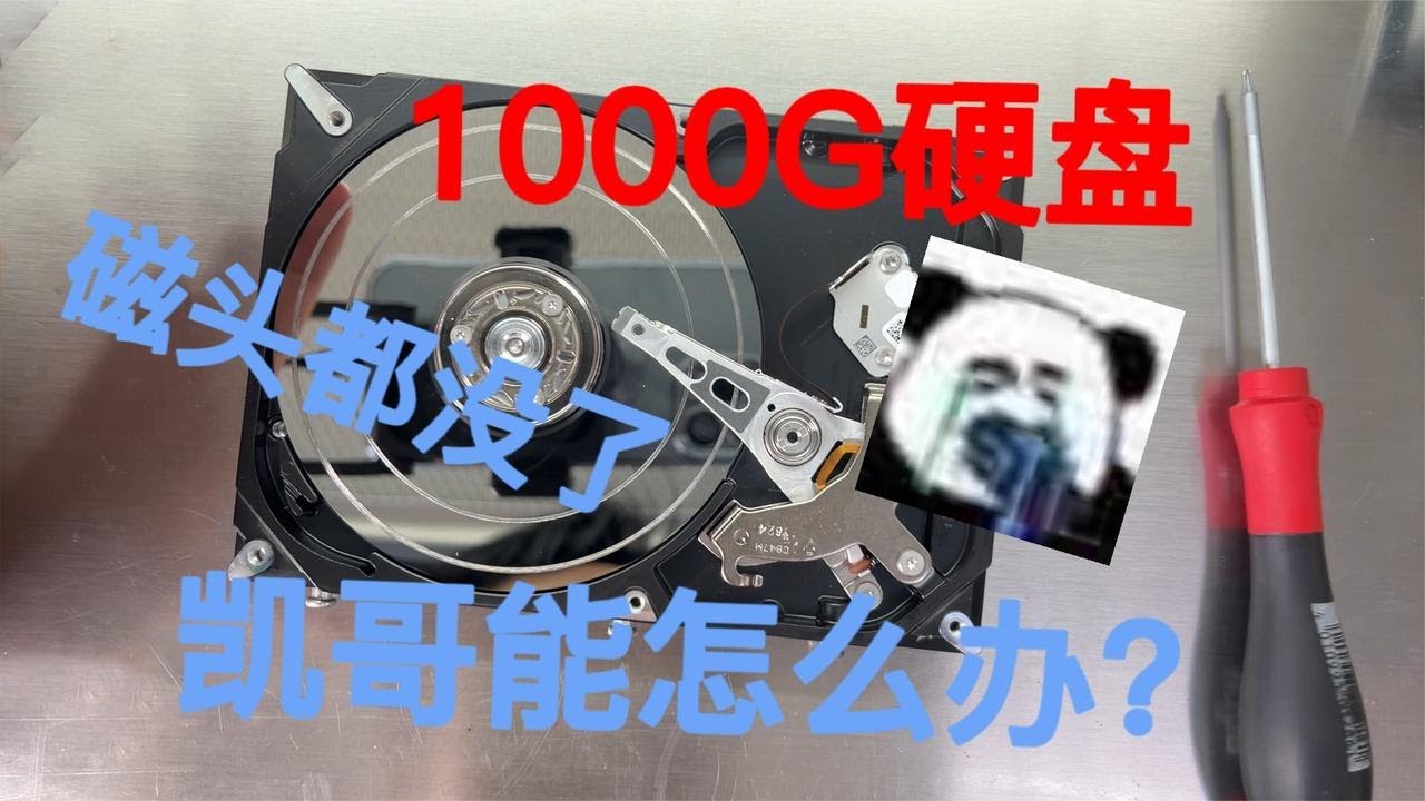 1000G硬盘二次开盘，为啥凯哥看了直摇头？