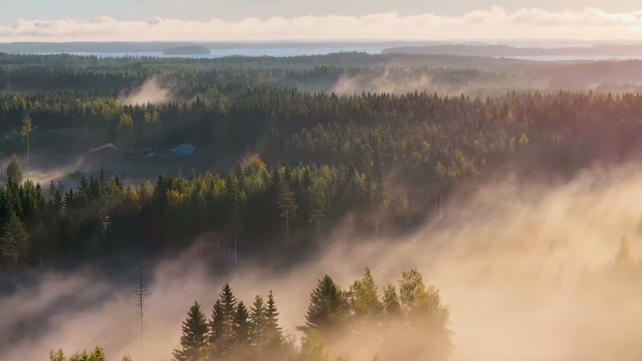 Droneiluja kesältä 2024