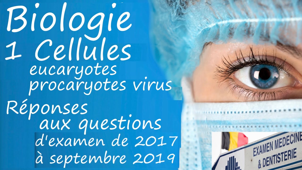 EXMD Biologie 1719 1 Cellules