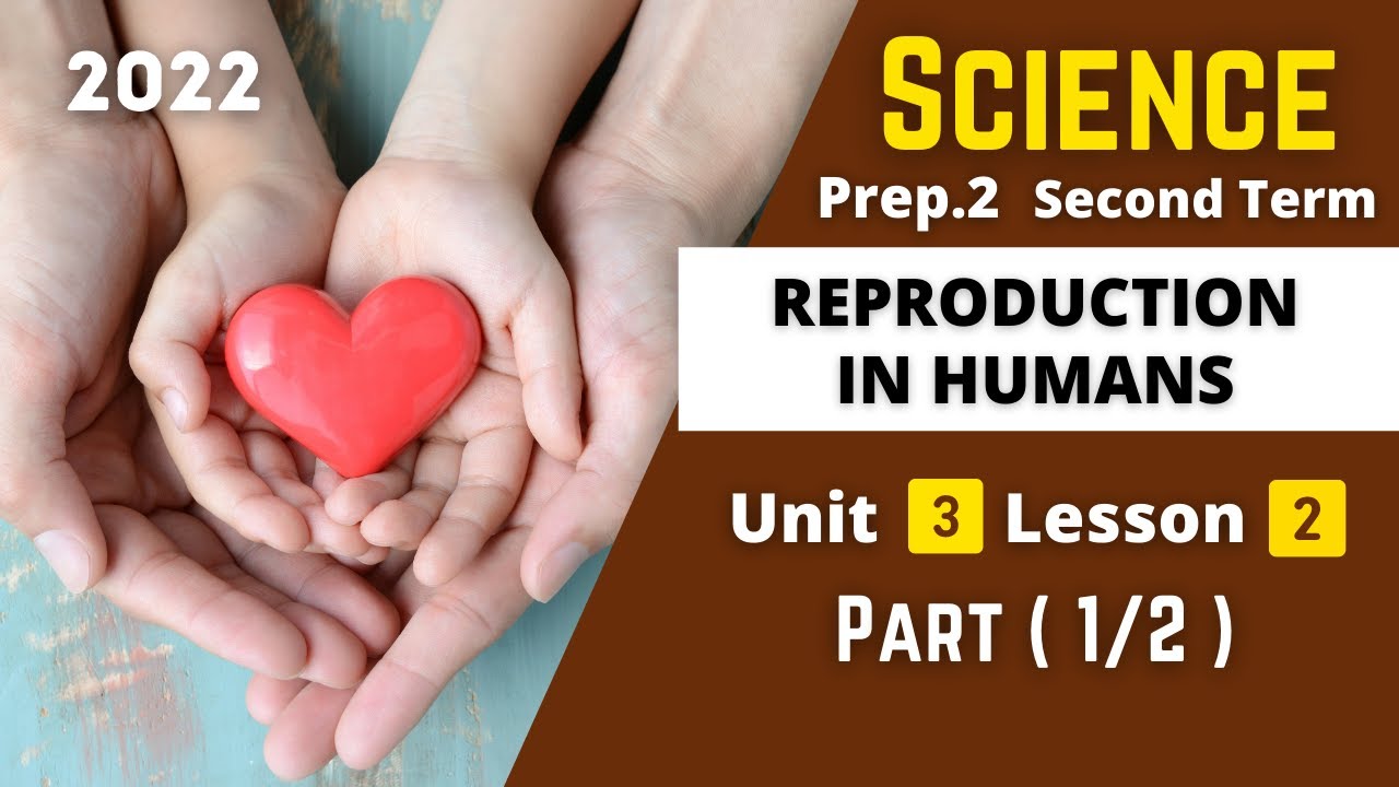 SCIENCE | Prep.2 | Reproduction in Humans #1 | Unit 3 - Lesson 2