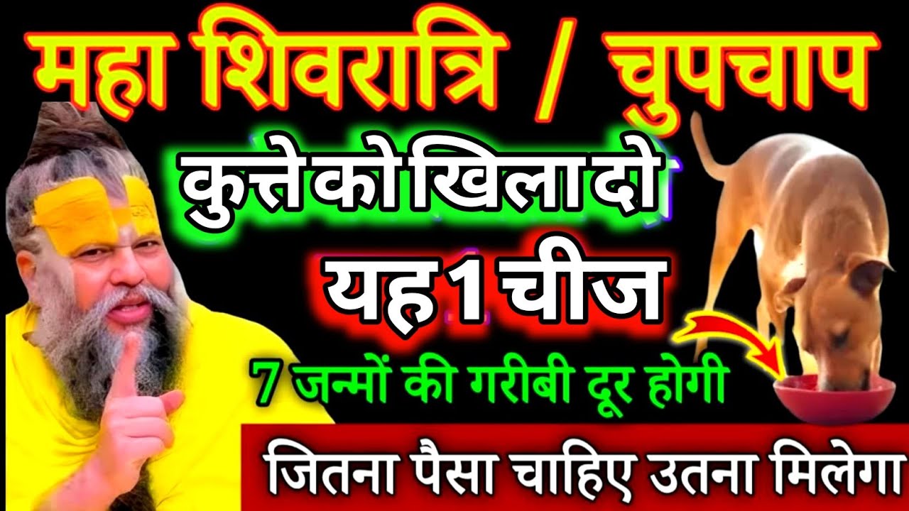 महा शिवरात्रि के दिन चुपचाप कुत्ते को खिला दो यह एक चीज, आपकी 7 जन्मों की गरीबी दूर होगी#premanandji