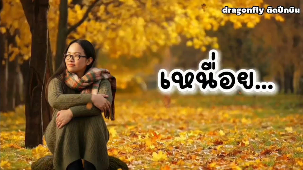 #เหนื่อย #dragonflyติดปีกบิน #เพลงเพราะๆ
