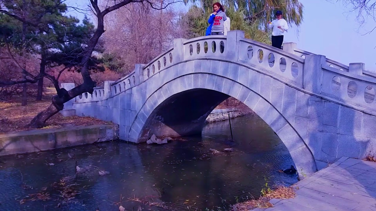 BEILING PARK || Shenyang, North of China 2017