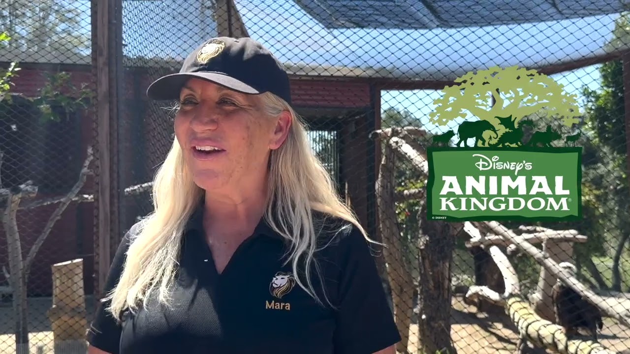 Apricot Festival - America’s Teaching Zoo at Moorpark College